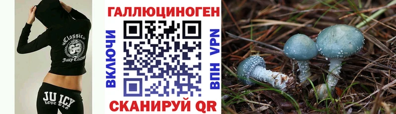 Галлюциногенные грибы GOLDEN TEACHER  кракен рабочий сайт  Александровск-Сахалинский  сколько стоит 